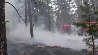 ШҚО-дағы өрт үшінші тәулік сөнбей жатыр