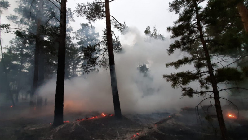 Фото: ҚР ІІМ ТЖК баспасөз қызметі