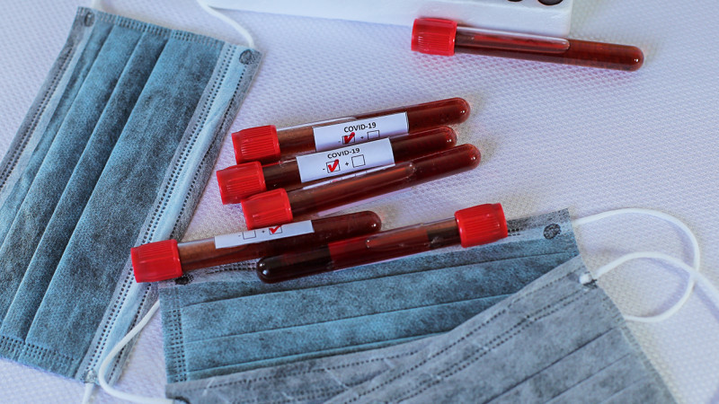 Сурет: Алихан Сариев