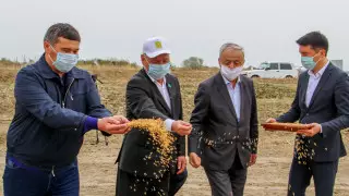 Қызылордада егін даласына алғашқы дән себілді