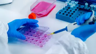 Қазақстанда тағы 90 адам коронавирус жұқтырды