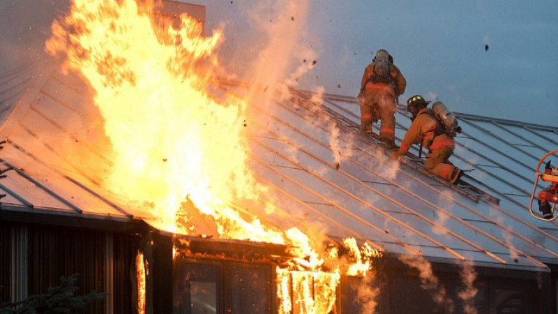 Көрнекі сурет © pixabay.com