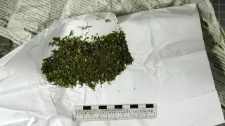 Қостанайда кәмелетке толмаған төрт баладан есірткі табылды