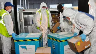 Джек Ма Алматыға екінші мәрте гуманитарлық көмек жіберді