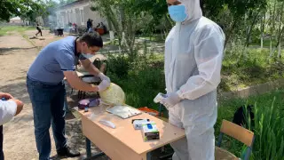 Түркістан облысындағы апат: Мақтаарал ауруханаларында COVID-19 жұқтырғандар жоқ