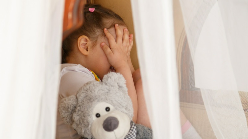 фото: elements.envato.com