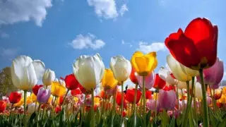 Мамырда ауа райы қандай болады?