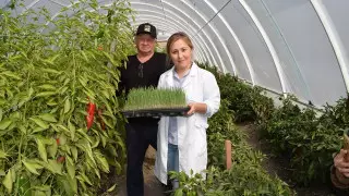 "Алқаптан сөреге дейін". Қазақстандық фермерлер АҚШ технологиясын пайдалануды бастады