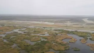 Кіші Арал теңізінің экологиясы жақсарды - министр