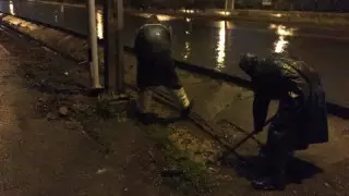 Алматыдағы жаңбыр салдары: ағаштар құлап, көшелерді су басты