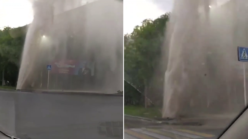 Видеодан алынған кадр