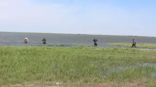 17 жастағы студенттің жоғалуы: ауыл әкіміне қатысты тергеу басталды