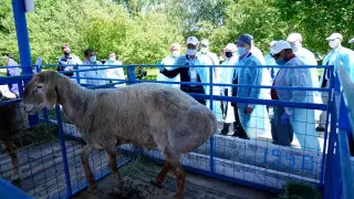 Мамин Алматы облысының дамуын тексерді