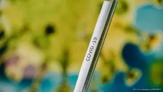 Дүние жүзінде коронавирус пандемиясы желтоқсанға қарай аяқталады - ғалымдар