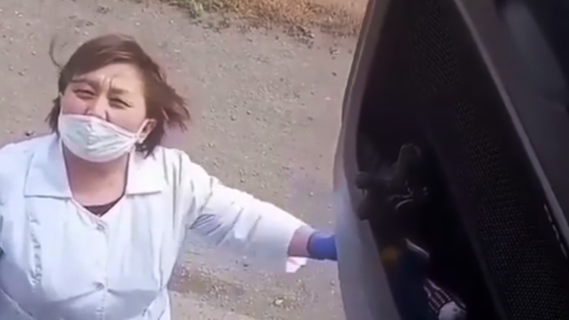 Фото: Видеодан кадр