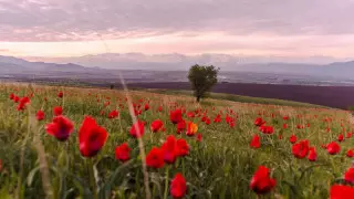 Қазақстандықтар маусымда қанша күн демалады