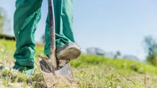 Алматыда коронавирустан қайтыс болғандарға арналған полигонда 32 адам жерленген