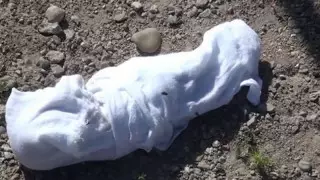 Қостанай облысында зираттан нәрестенің денесі табылды