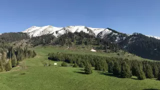 Сағынтаев Көк-Жайлауды ұлттық паркке қайтаруды сұрады