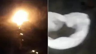 "Қызық үшін жасаған". Алматы облысында итті тірідей өртеп жібергендер ұсталды