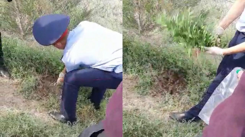 Видео кадрынан