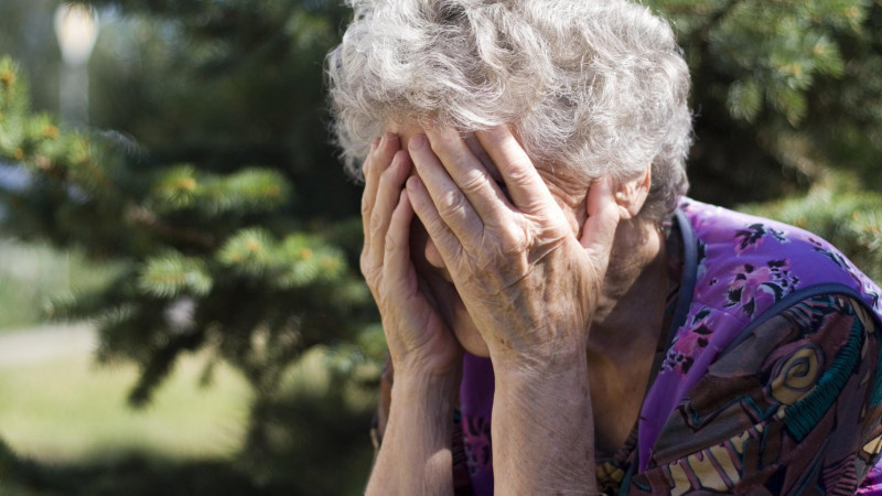 Көрнекі сурет: gazeta.zp.ua