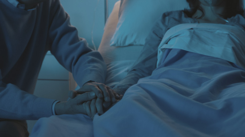 фото: elements.envato.com