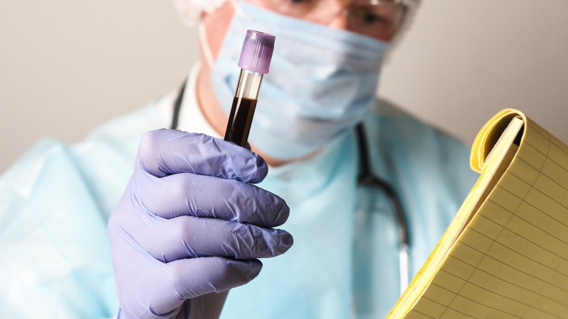 фото: elements.envato.com