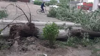 Аягөздегі дүлей дауыл: ауданда төтенше жағдай жарияланды