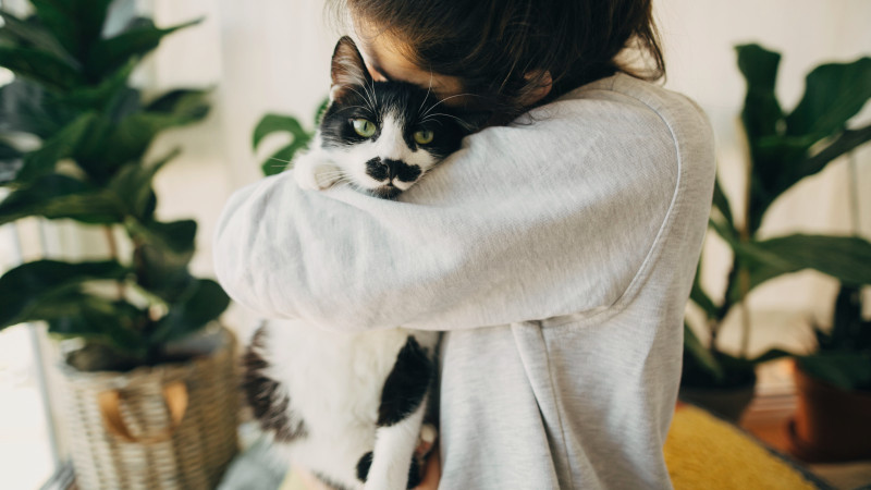 © elements.envato.com