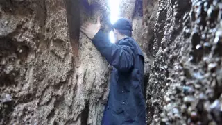 Херсондағы жезөкше