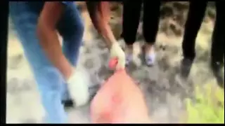 Балқаш маңында 52 жастағы есірткі сатушысы ұсталды