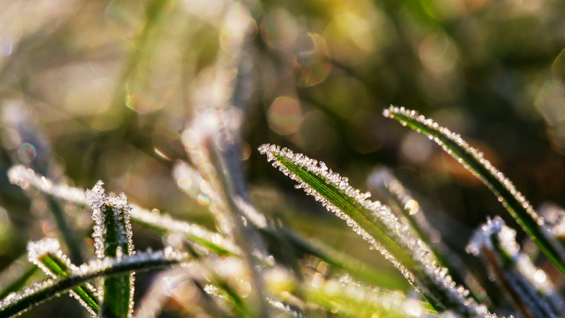 Сурет: elements.envato.com