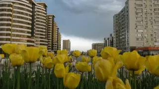 Шымкентте карантин шаралары күшейтілмек