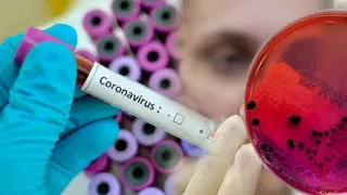 Шымкент: провизорлық стационарларда төсек орны мен дәрі-дәрмек жеткілікті