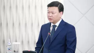 Үкімет басшысы жаңа министрді таныстырды