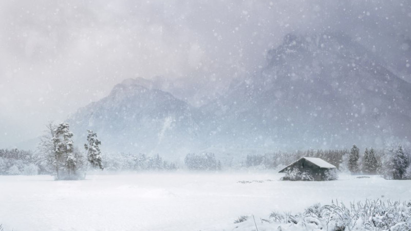 Көрнекі сурет pexels.com