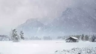 Жамбыл облысында қар жауды