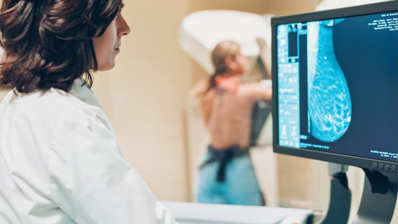 Фото: pixabay.com