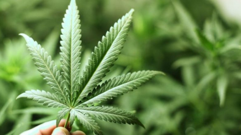 Жігіттерге арналған порно жұмыс