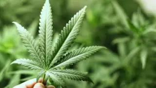 Порно актрисаның жасы