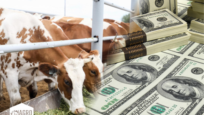 Иллюстрация ҚР Ауыл шаруашылығы министрлігінің сайтынан