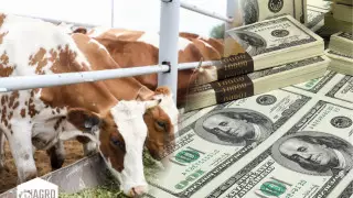 Дүниежүзілік банк Қазақстанға 500 миллион доллар береді