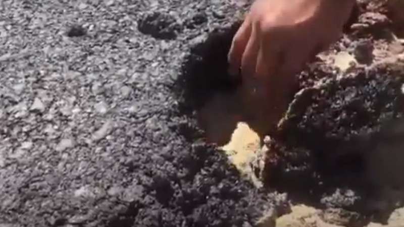 Видео кадрынан