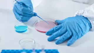 Алматыда COVID-19 анықтайтын қосымша 2 зертхана ашылды