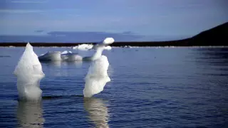 Ғалым ежелгі вирустардың қайта қозу қаупі туралы мәлімдеді