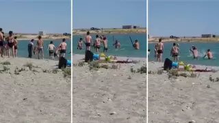 Маңғыстаулықтар тағы бір итбалықты суретке түсу үшін таспен атты