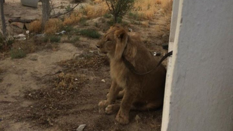 Сурет: facebook.com/s.dildakhmet