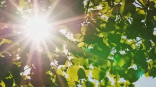 Алдағы күндері ауа райы қандай болады?