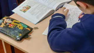Қазақстанда қай мектептер қалыпты режимде жұмыс істей береді?